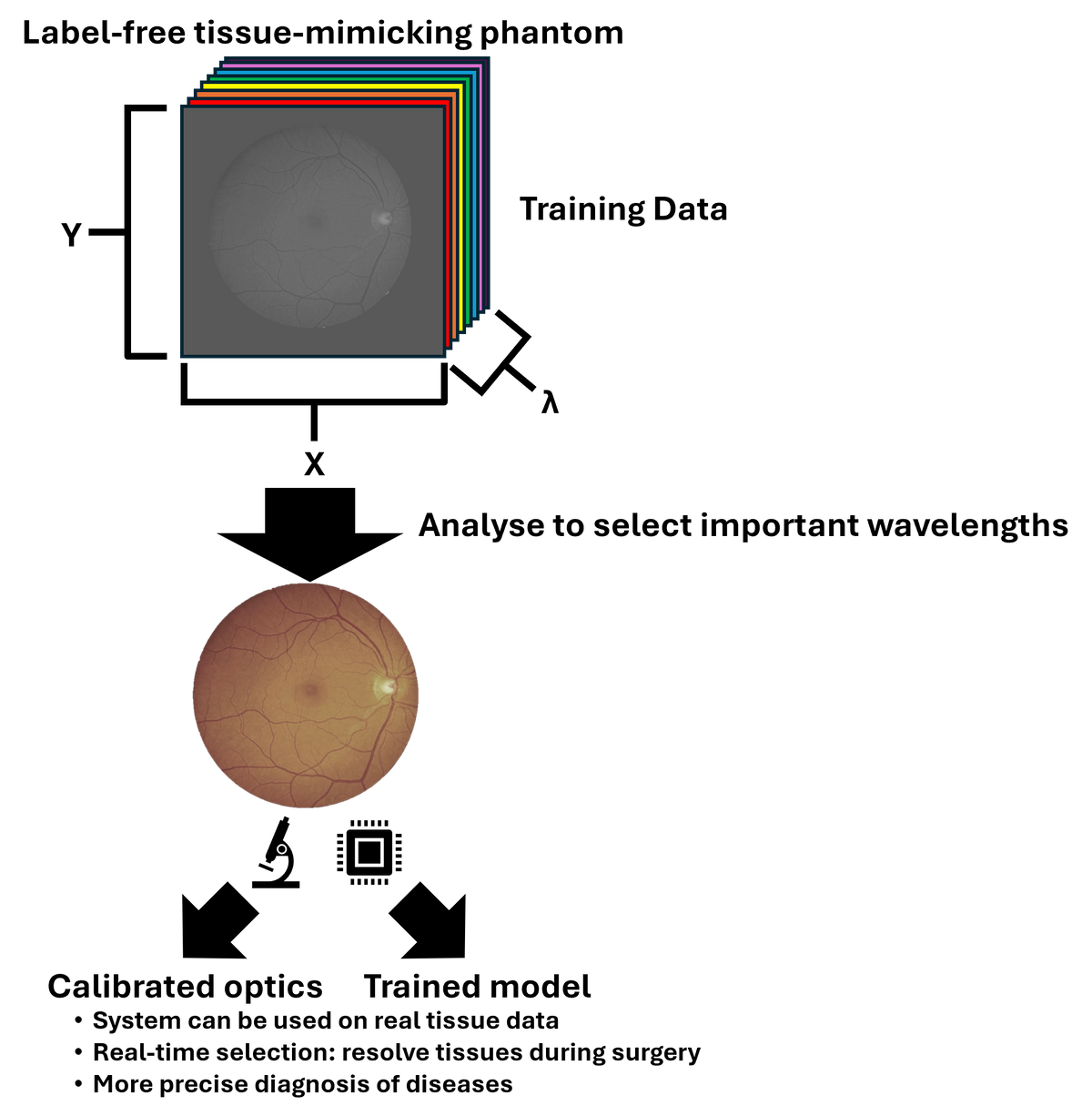 Diagram of James Joseph lab's experimental setup with Dhyana 95 V2.