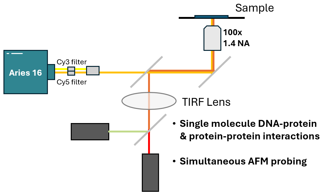 Single molecule fluorescence diagram setup in Hashemi lab, Auburn University using Aries 16