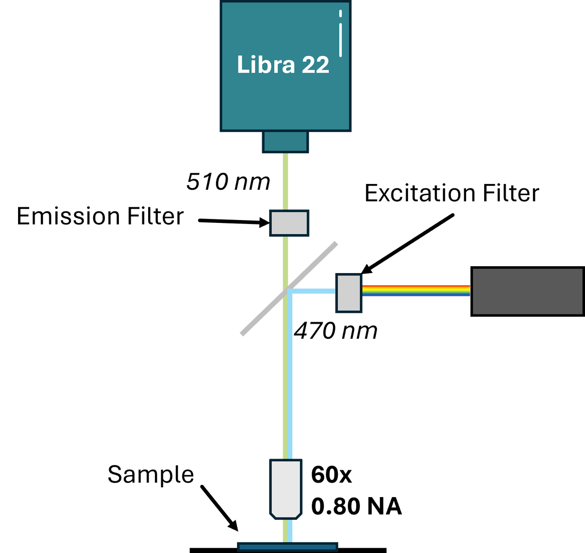 Diagram of a Libra 22 system used by Nick Dale lab for Neuroscience applications at University of Warwick