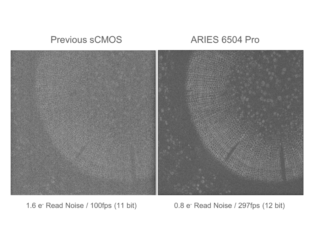 Aries 6504 versus BSI Express 2