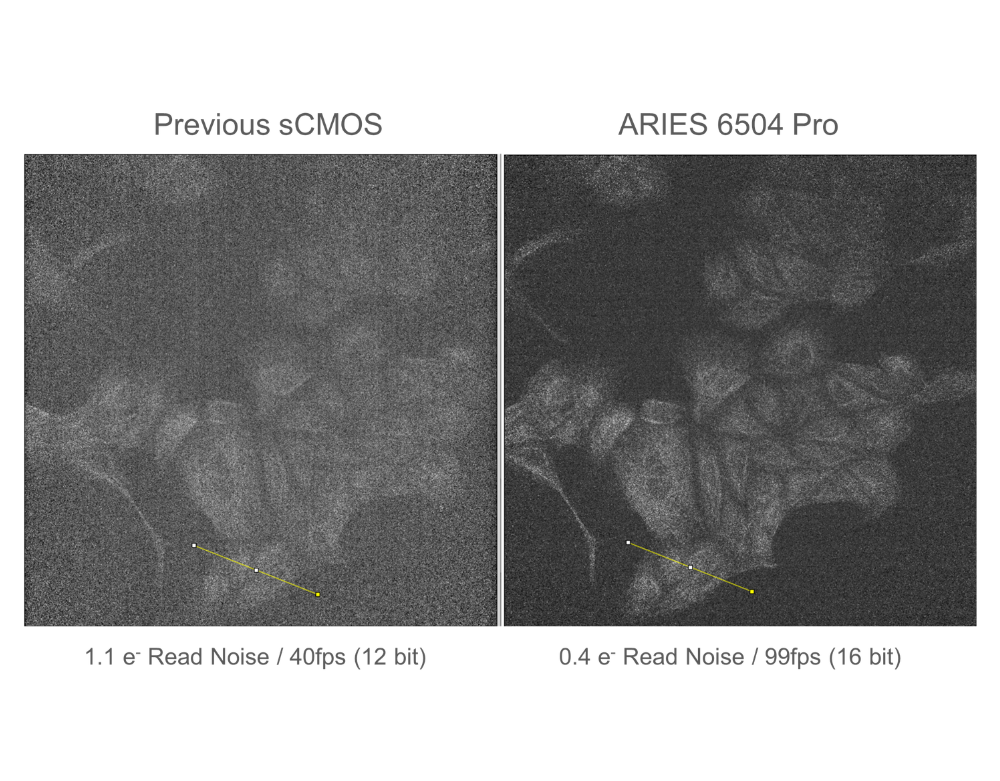 Aries 6504 versus BSI Express 
