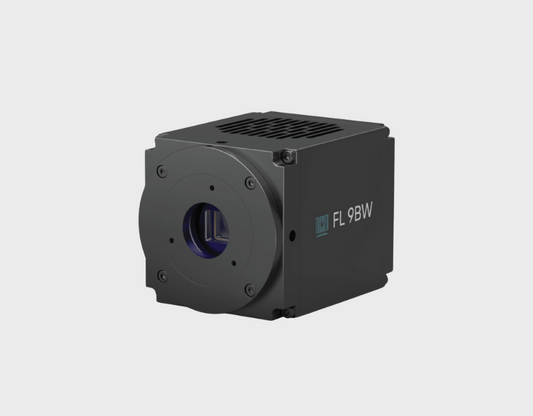 FL9-BW - SNR Max Per Pixel