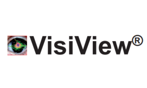 Visiview logo